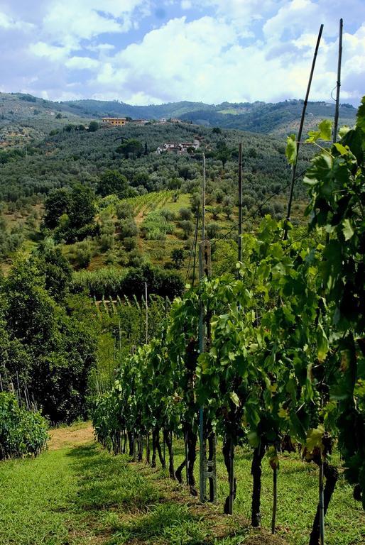 Villa Antico Borghetto Di Tigliano Vinci Exterior foto